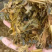 黄储玉米秸秆压块