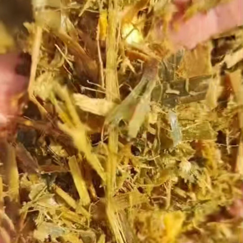 黄储玉米秸秆压块