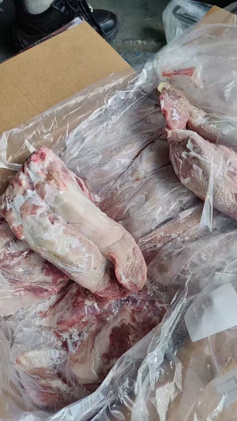 19-23纯干标猪口条