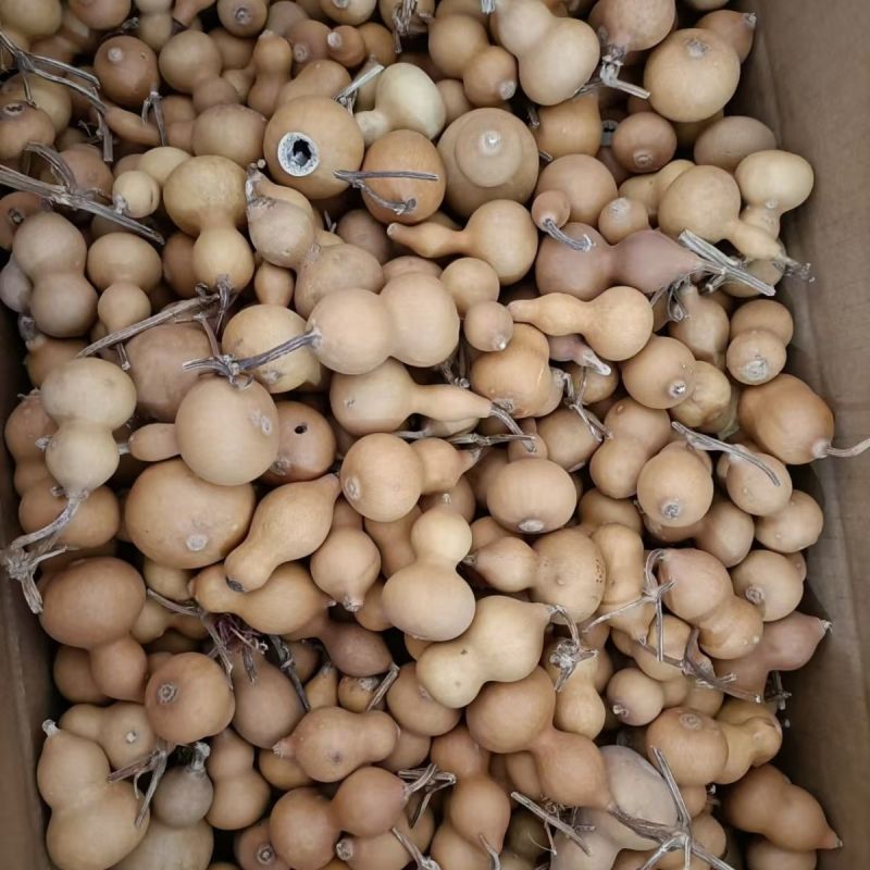 中药材葫芦整个1公斤葫芦葫芦壳抽葫芦非碎片