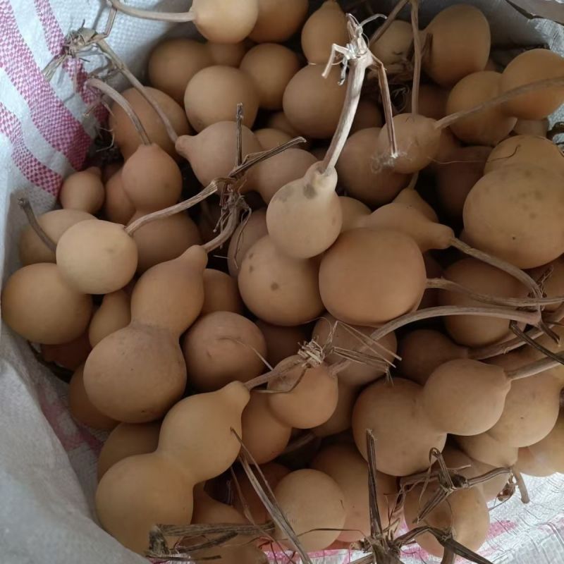中药材葫芦整个1公斤葫芦葫芦壳抽葫芦非碎片