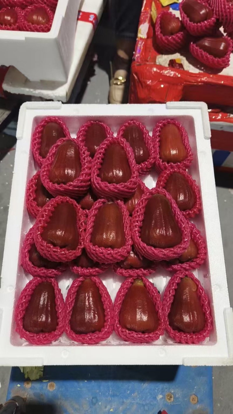 莲雾