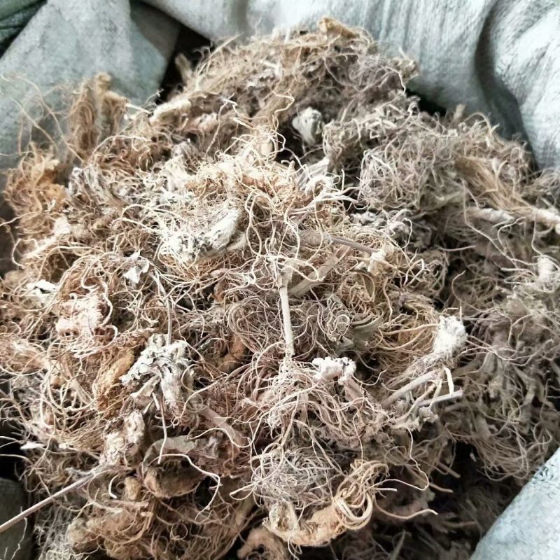 地胆草根1公斤中药材地胆草苦地胆草鞋根草鞋底