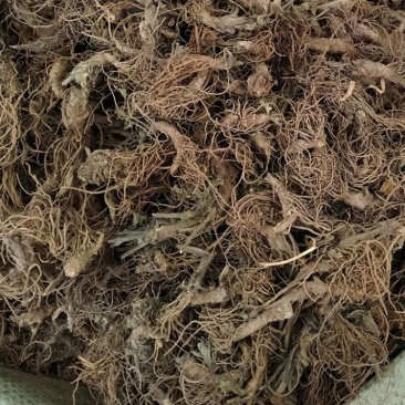 地胆草根1公斤中药材地胆草苦地胆草鞋根草鞋底