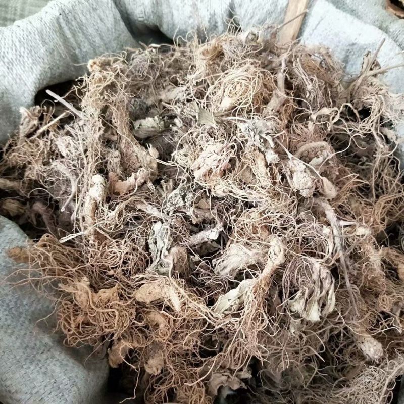 地胆草根1公斤中药材地胆草苦地胆草鞋根草鞋底