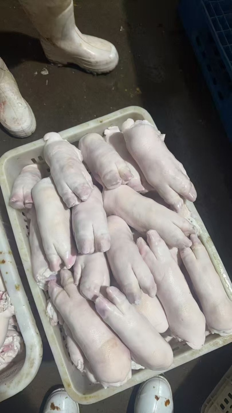 纯干一级猪蹄、10kg/一箱18-23个