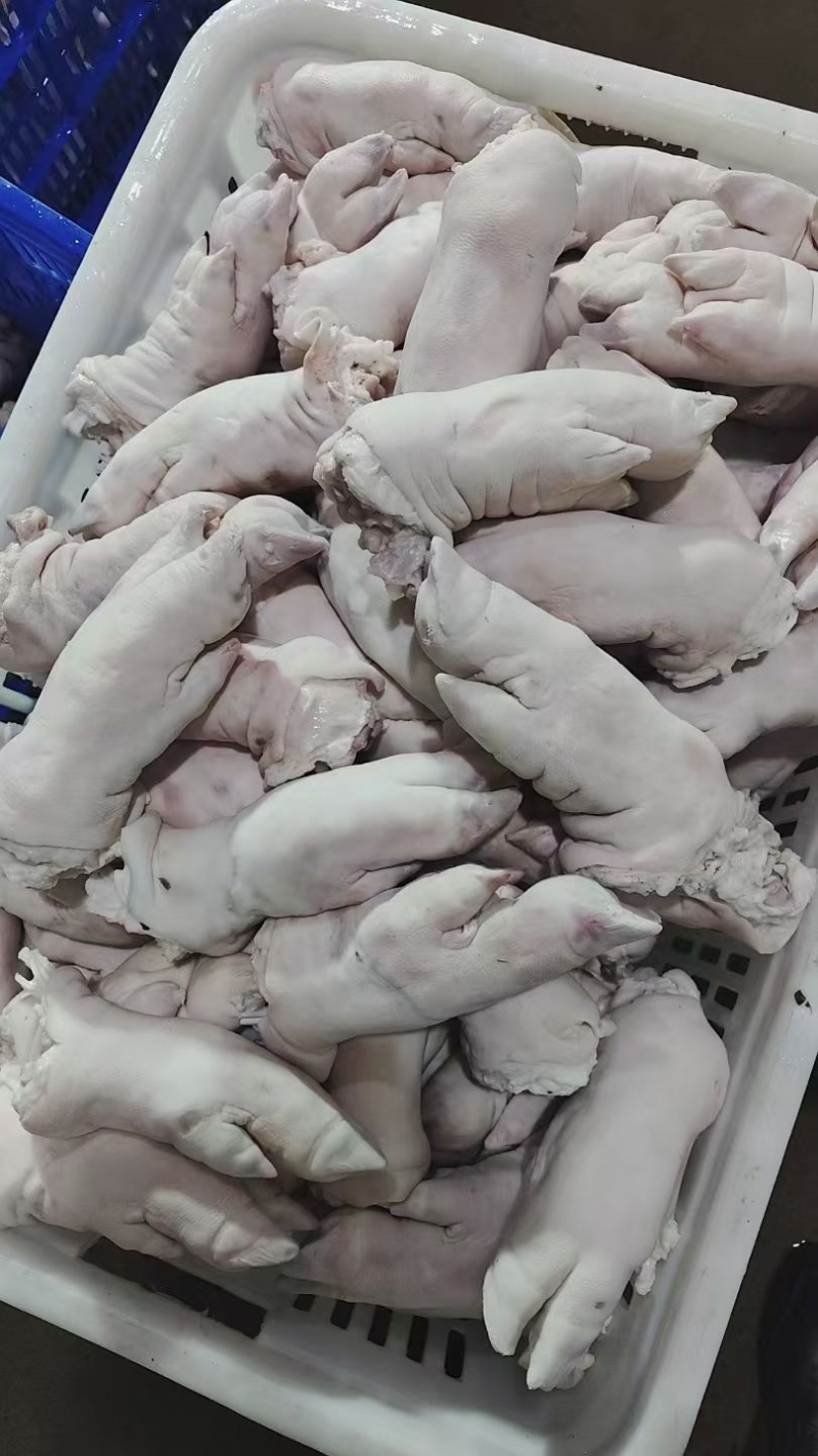 纯干一级猪蹄、10kg/一箱18-23个