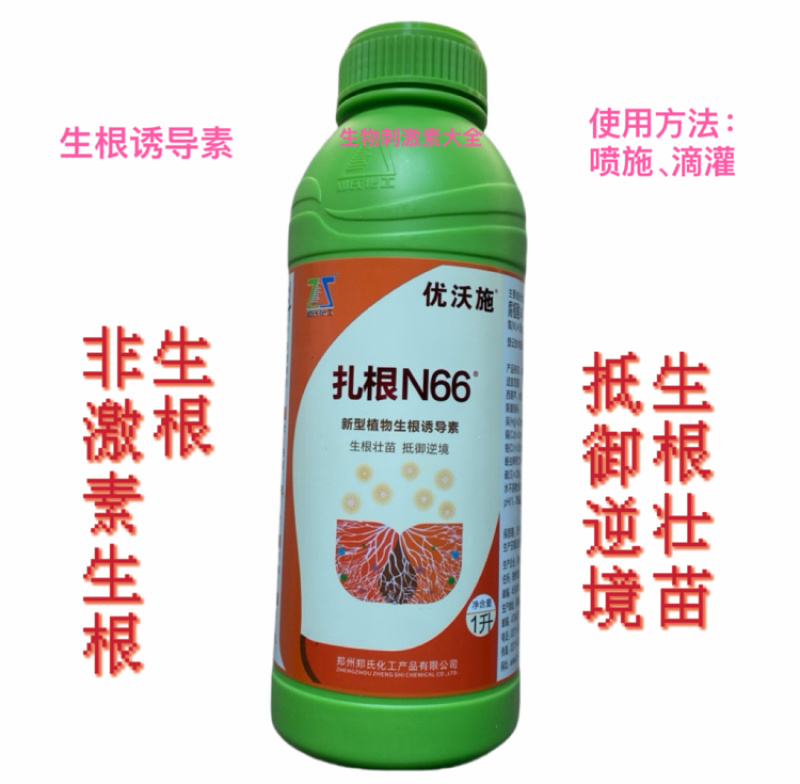 扎根N66新型植物生根诱导素生根壮苗抵御逆境