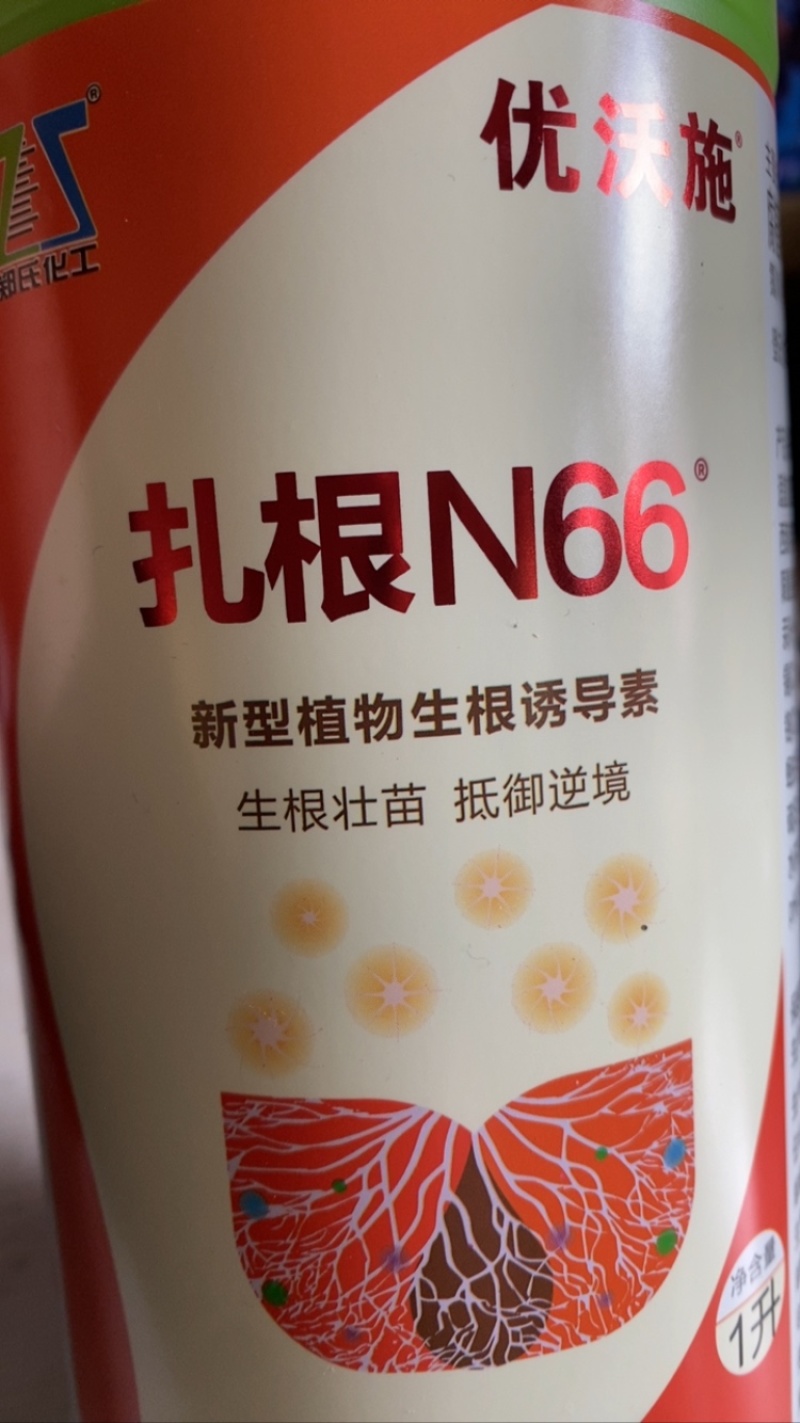 扎根N66新型植物生根诱导素生根壮苗抵御逆境
