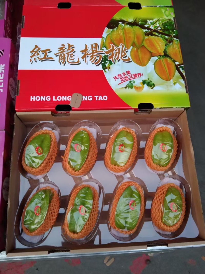 下河杨桃基地
