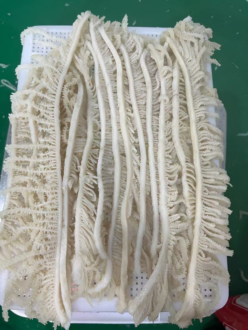 水煮白千层重庆工厂直发火锅佳选