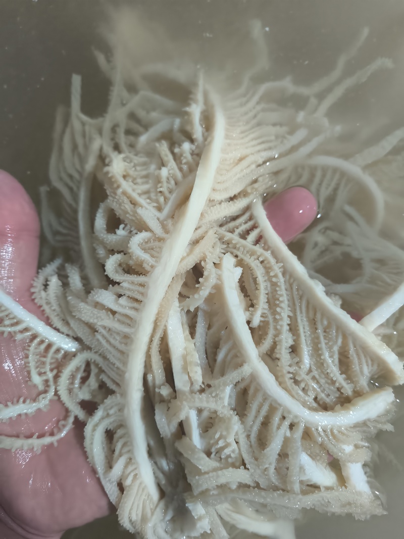 水煮白千层重庆工厂直发火锅佳选