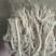 水煮白千层重庆工厂直发火锅佳选