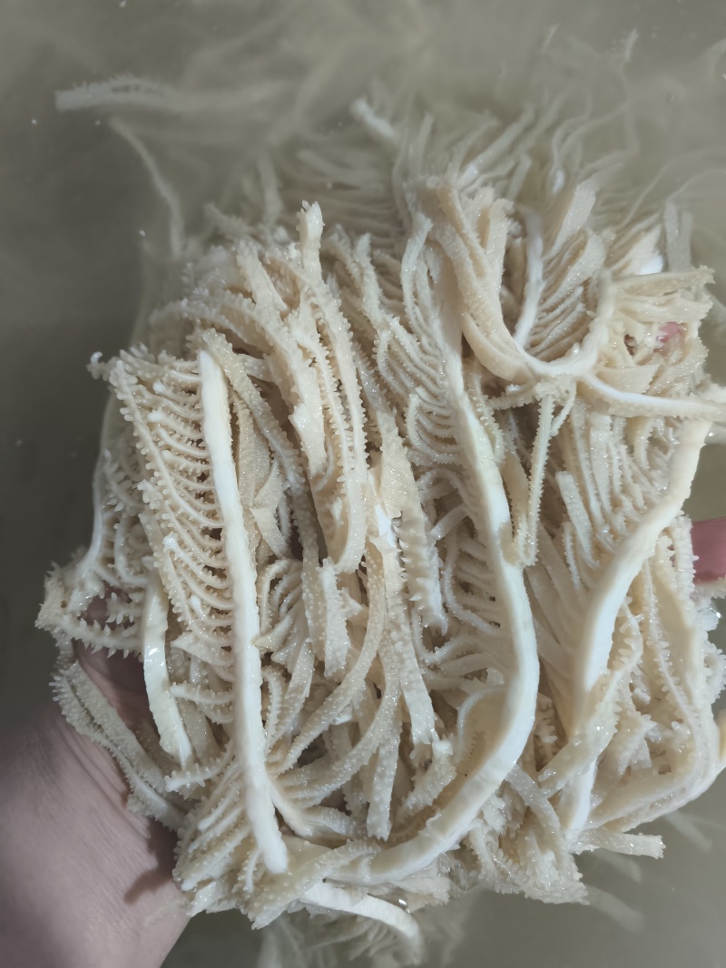 水煮白千层重庆工厂直发火锅佳选