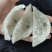 进口码CAIQ溯源燕窝燕碎大燕条燕盏孕妇滋干净度高泡发好