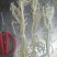 白千层重庆工厂直发火锅佳选