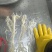 白千层重庆工厂直发火锅佳选