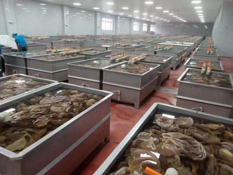 毛肚重庆工厂直发火锅佳选