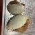 毛肚重庆工厂直发火锅佳选