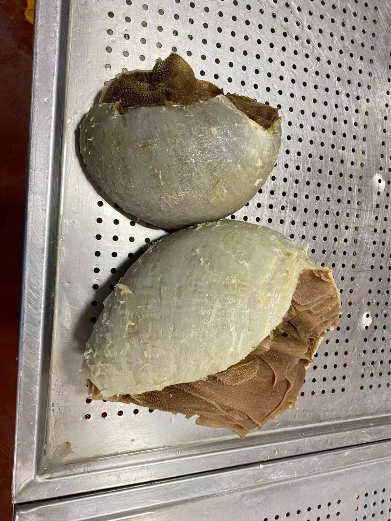 毛肚重庆工厂直发火锅佳选