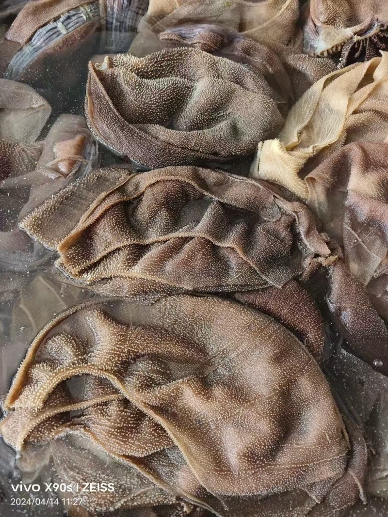 毛肚重庆工厂直发火锅佳选