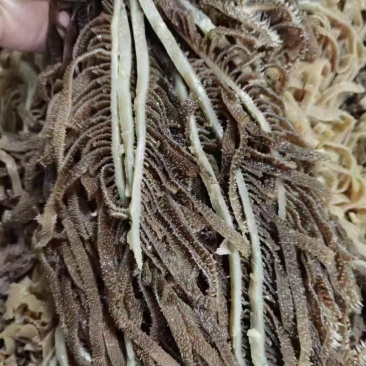 精品黑千层重庆工厂直发火锅佳选