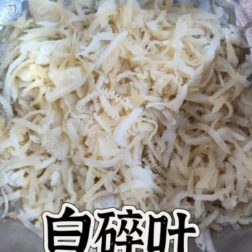毛肚碎叶