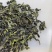 。1斤新茶正味铁观音兰花香高山铁观音乌龙茶好喝铁观音