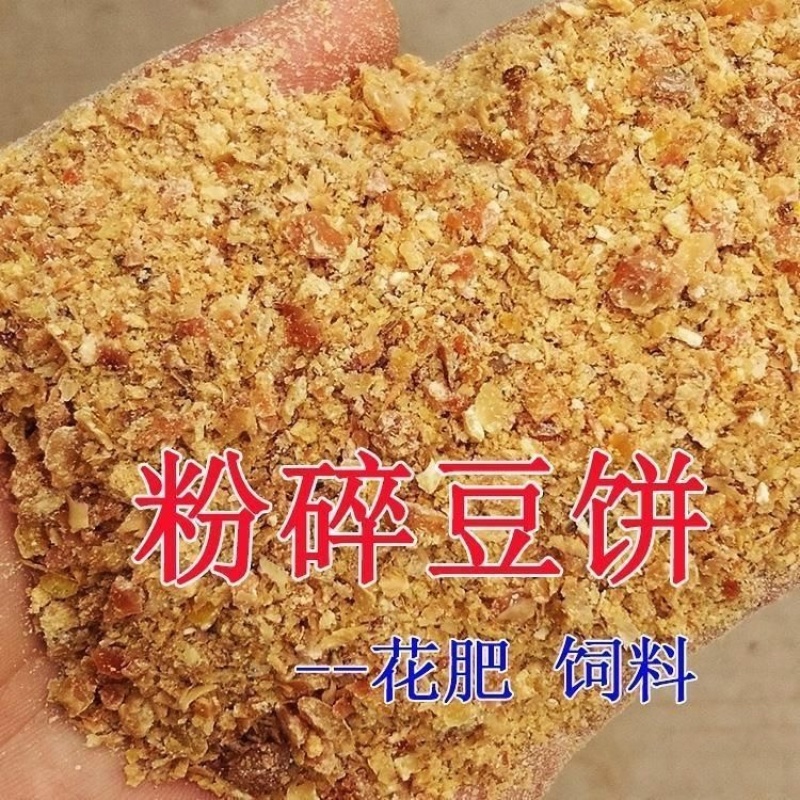 熟榨豆饼，支持任何检测蛋白45➕，油脂35+支持检测