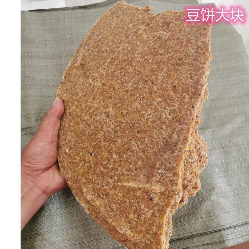 熟榨豆饼，支持任何检测蛋白45➕，油脂35+支持检测