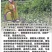 紫阳富硒茶叶徐小凤的茶园干净幸福生活品硒茶温暖人间美一天