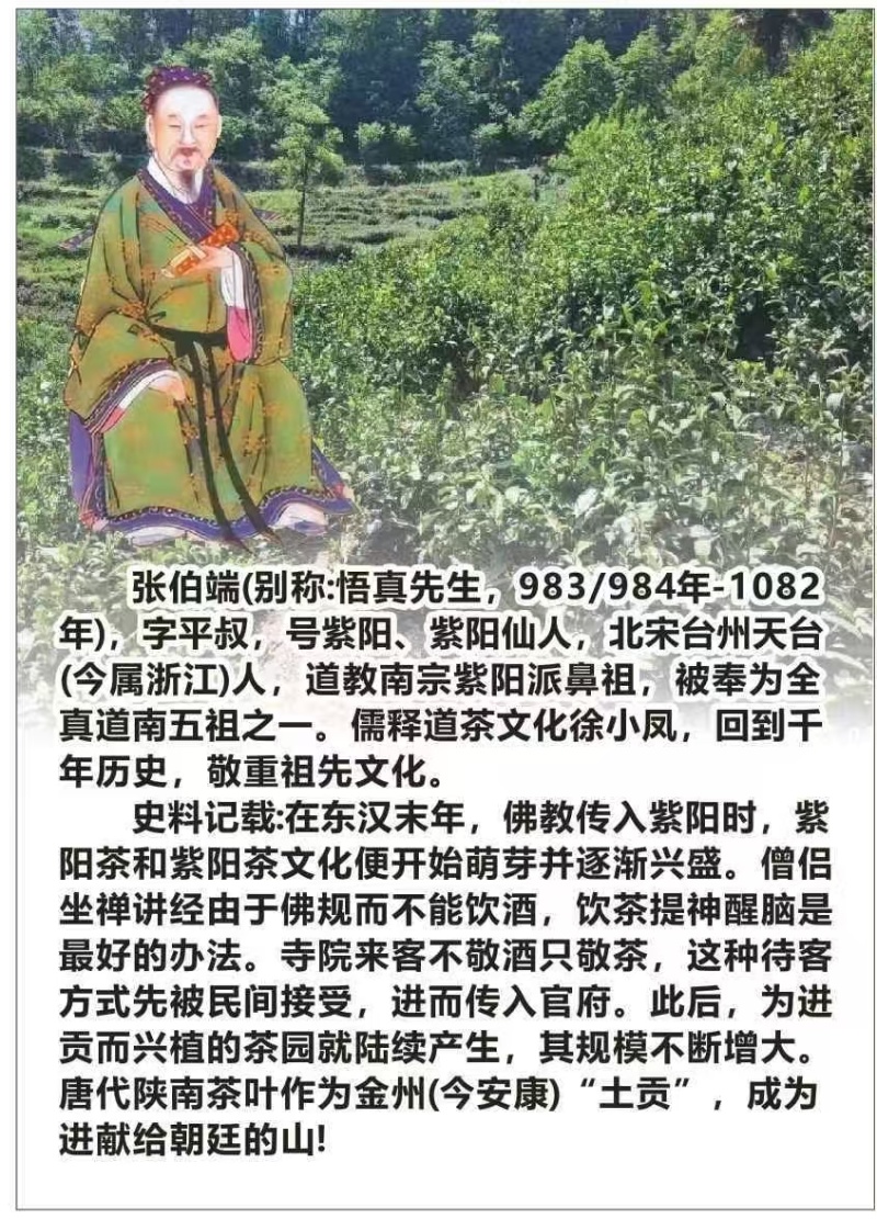 紫阳富硒茶叶徐小凤的茶园干净幸福生活品硒茶温暖人间美一天
