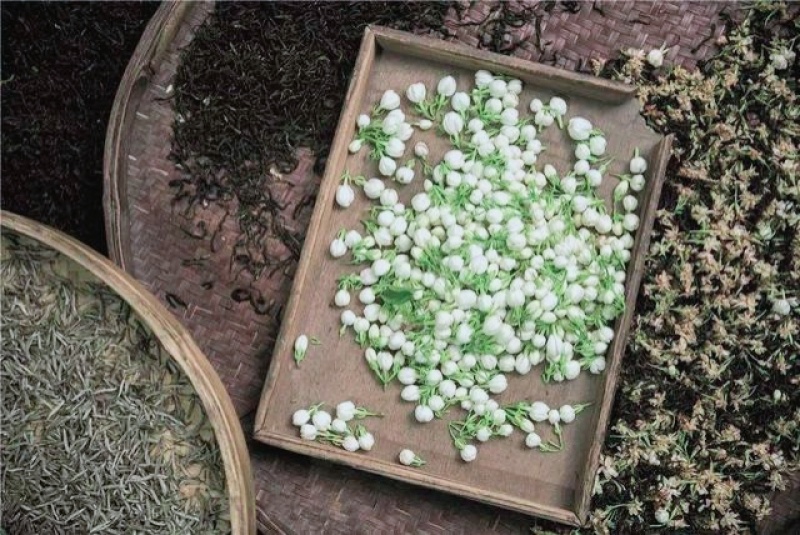 鲜食茉莉花