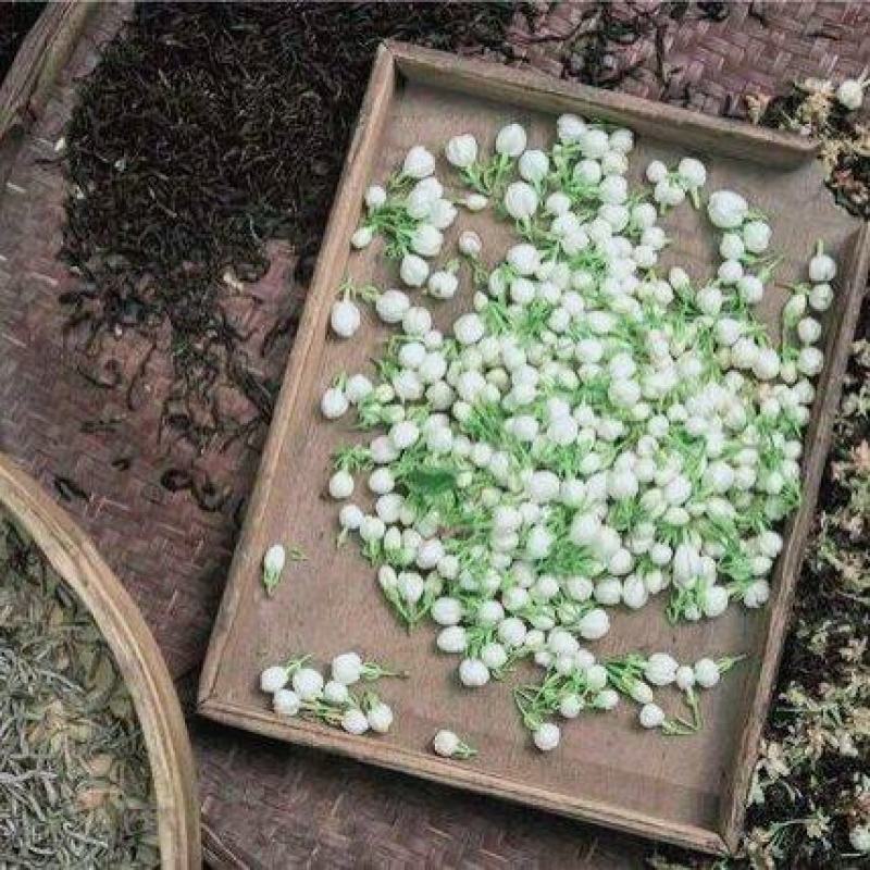 鲜食茉莉花