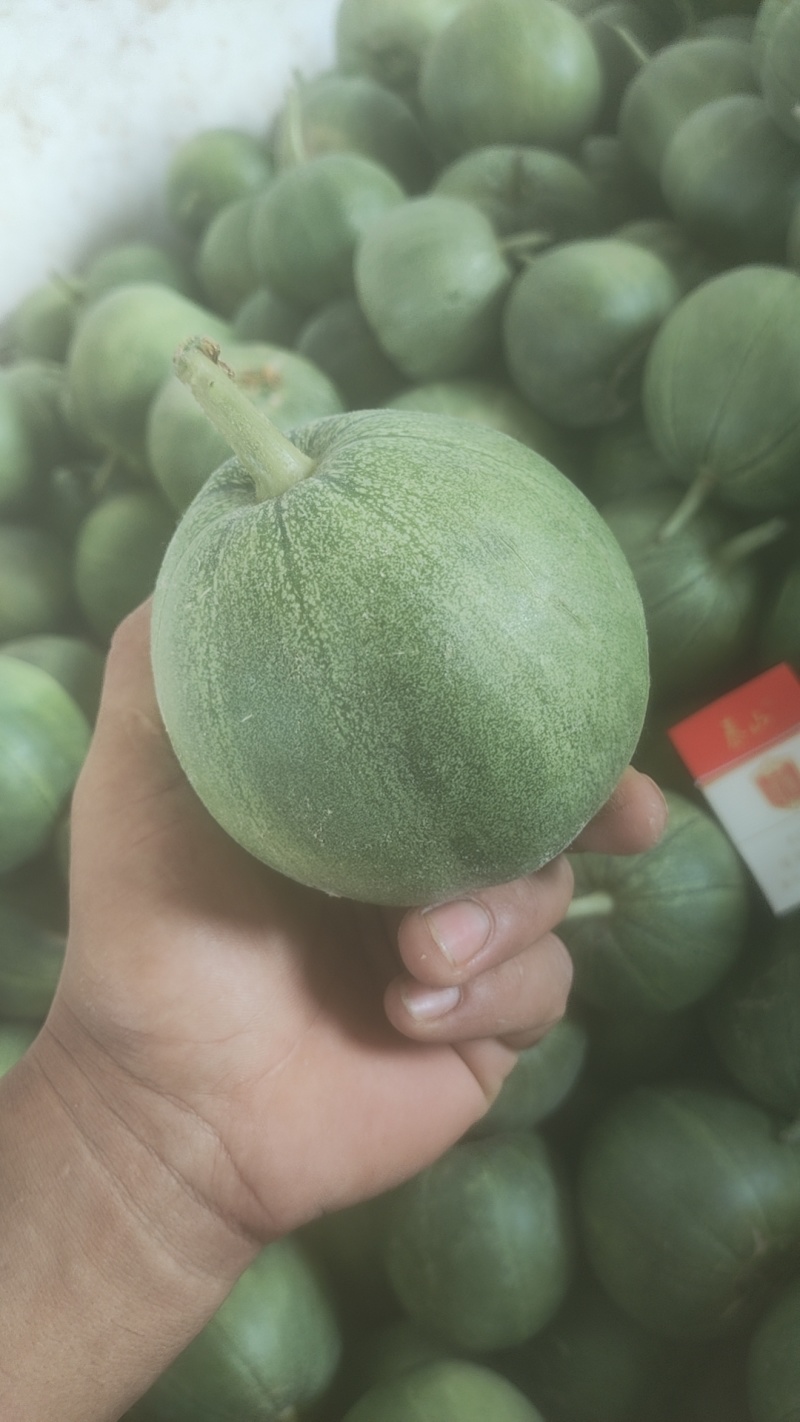精品绿宝石甜瓜口感酥脆糖度十八个加皮薄肉绿