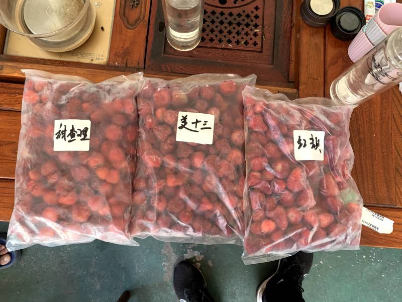 美十三草莓加工果现已大量上货欢迎新老客户前来收购