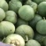 精品绿宝石甜瓜大量上市了口感超甜，皮薄绿肉