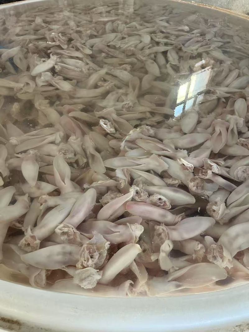 兔耳朵，分白色和灰色原色的是食用的，漂白的做宠物饲料的