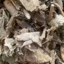 大风艾【包邮】三斤起发货可批量可零售量大从优