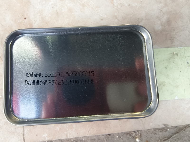 懒神6号花皮长瓜抗病强含糖高单瓜25斤左右果肉大红结果强