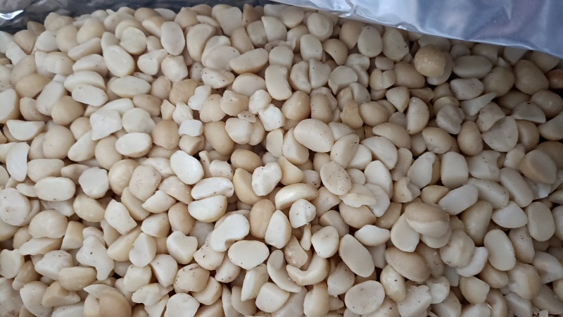 夏威夷果仁