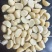夏威夷果仁