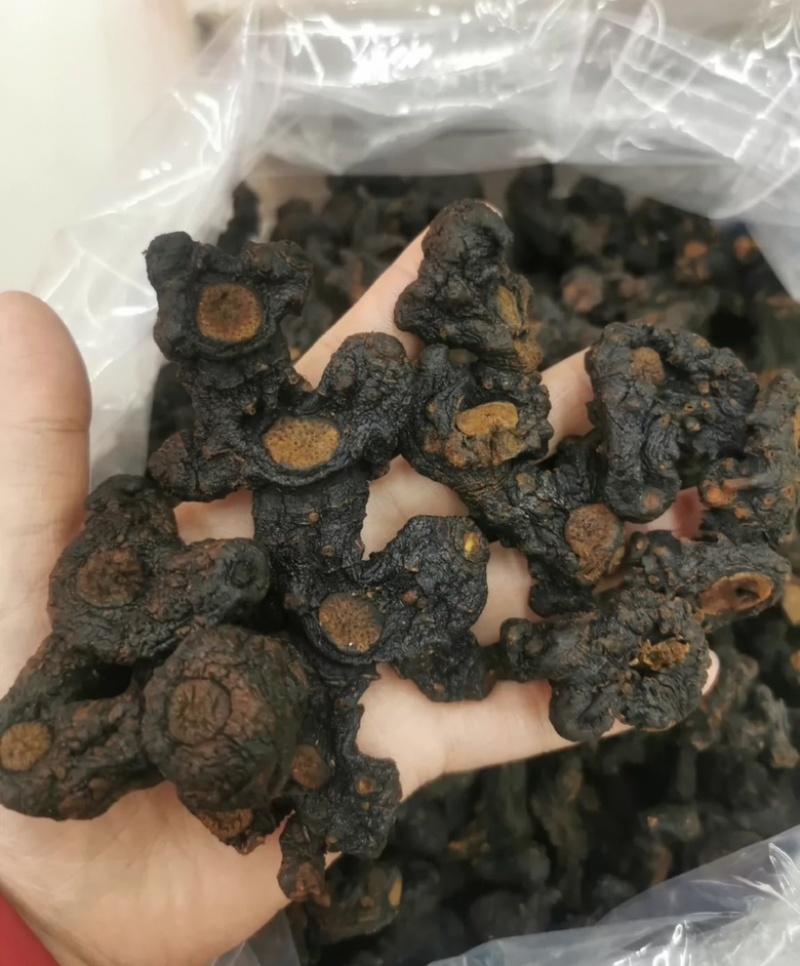 九蒸九晒野生黄精干货62一斤20斤起批包邮
