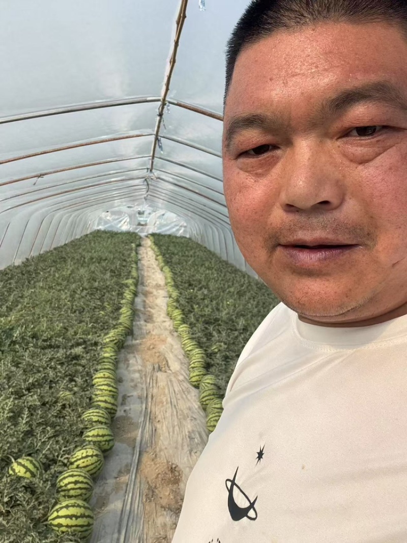 夏日C位产地现摘无籽西瓜脆甜爆汁**低价抢购