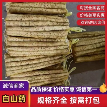 新鲜小白嘴山药网袋产地直发粉糯白山药批发量大优惠