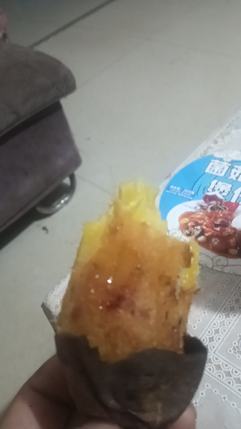 精品红薯苗各种地瓜高剪苗大田苗大量供应可视频