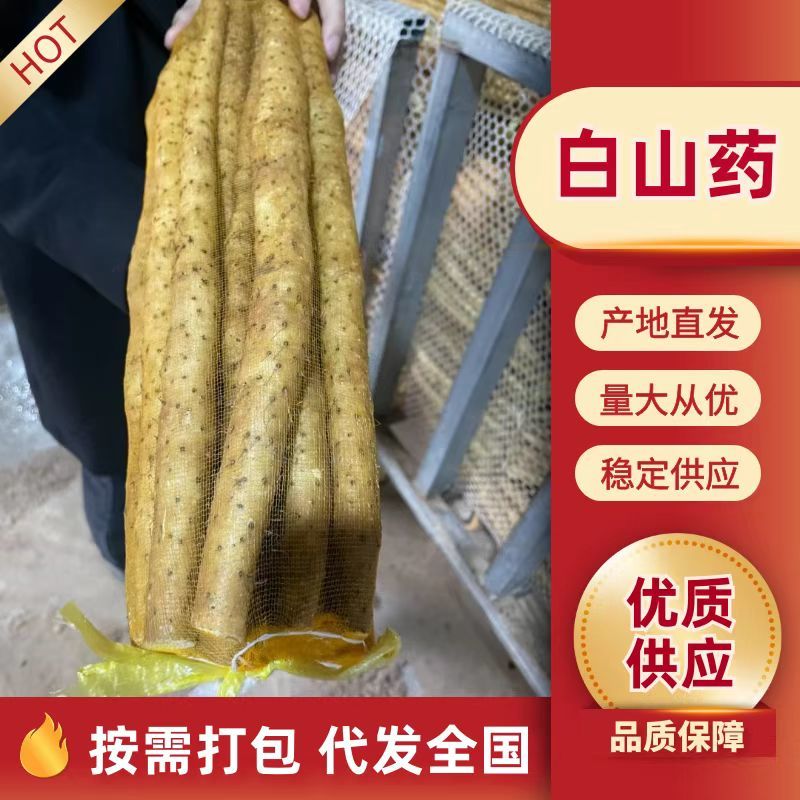 新鲜小白嘴山药网袋产地直发粉糯白山药批发量大优惠