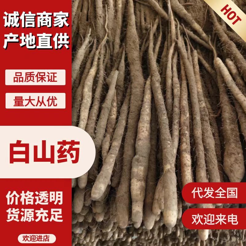 新鲜小白嘴山药网袋产地直发粉糯白山药批发量大优惠