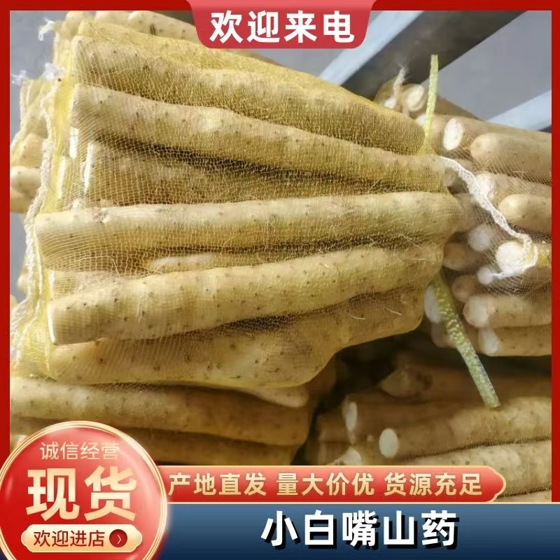 新鲜小白嘴山药网袋产地直发粉糯白山药批发量大优惠