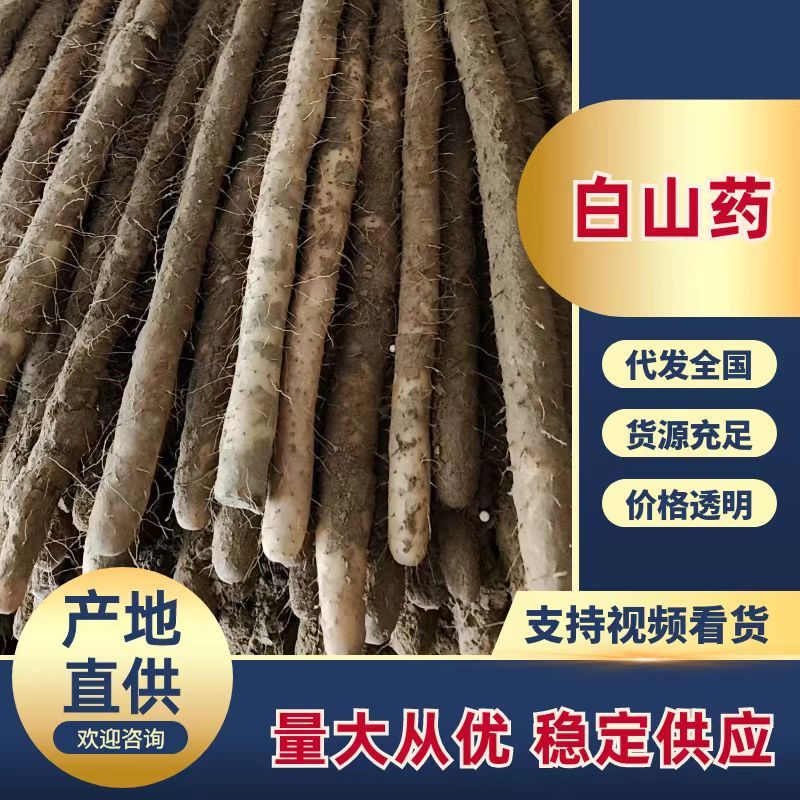 新鲜小白嘴山药网袋产地直发粉糯白山药批发量大优惠